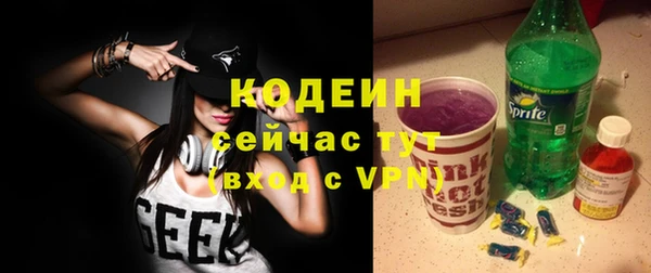 ECSTASY Бородино