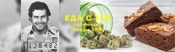 ECSTASY Бородино