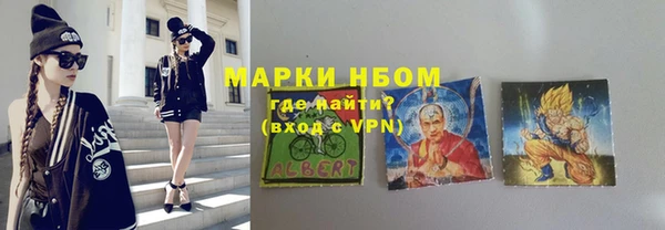 ECSTASY Бородино