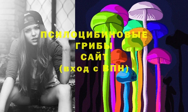 ECSTASY Дубовка