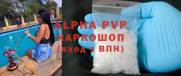 ECSTASY Бородино