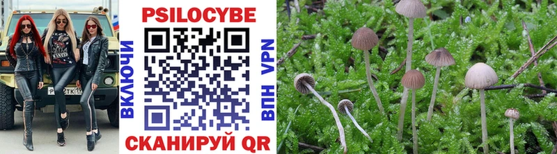 Псилоцибиновые грибы MAGIC MUSHROOMS Коркино